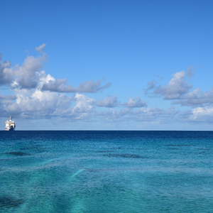 竹内沙里纳夸最经典十句话
